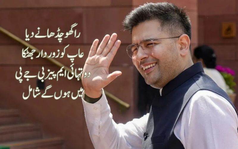 عام آدمی پارٹی میں بغاوت: دوتہائی ایم پیز بی جےپی میں ہوں گے شامل:چڈھا